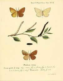 Image 961426202