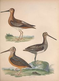 Image 961426702