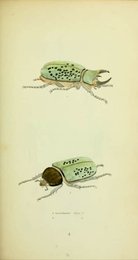 Image 961428504