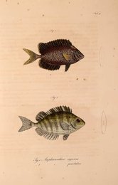 Image 961429577