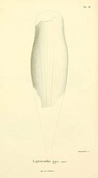 Image 961429874