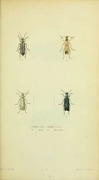 Image 961429912