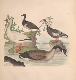 Image 961430713