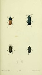 Image 961430890