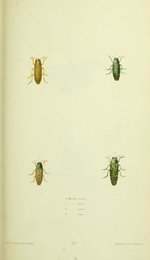 Image 961431162