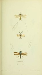 Image 961431203
