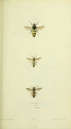 Image 961431314