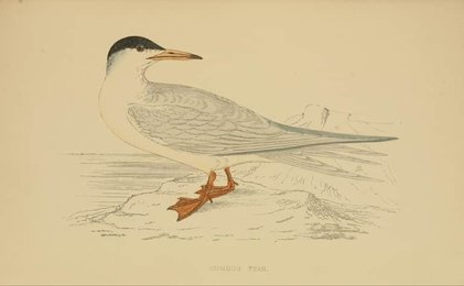 Image 961431957