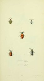 Image 961432513