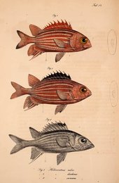 Image 961432691