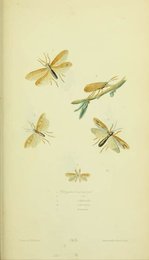 Image 961432702