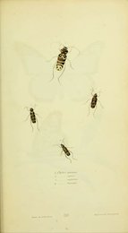 Image 961433468