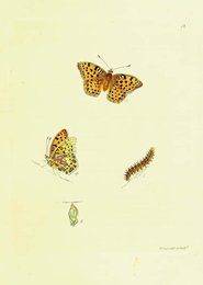 Image 961433748