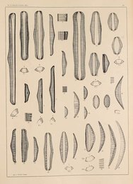 Image 961436259