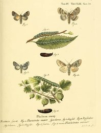 Image 961436267