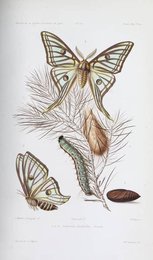 Image 961437076