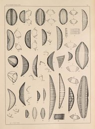Image 961438182