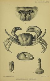 Image 961439541