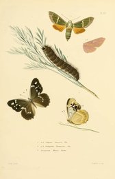 Image 961440277
