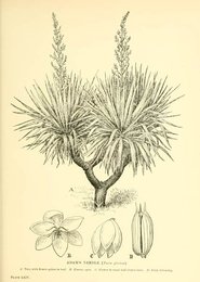 Image 961440780