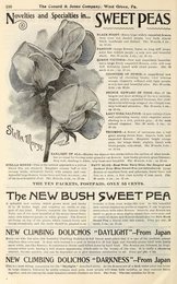 Image 961441441