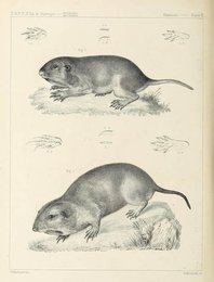 Image 961442058