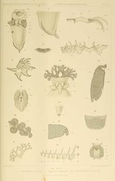 Image 961445474