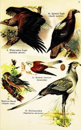 Image 961449458