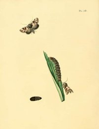Image 961451596