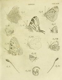 Image 961454172