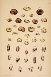 Image 961454938