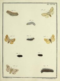 Image 961473029