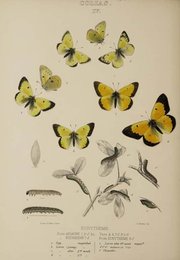 Image 961473459