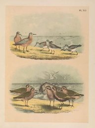 Image 961487888