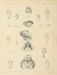 Image 961488260