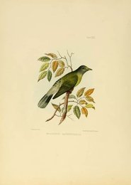 Image 961488778