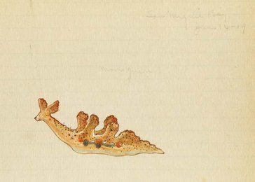 Image 961489765