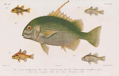 Image 961502696