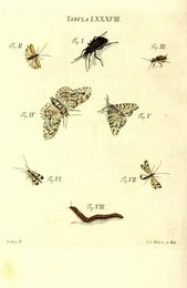 Image 961562952