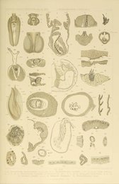 Image 961590391