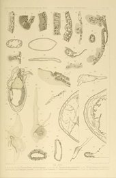 Image 961613265