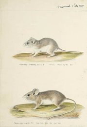 Image 961613796