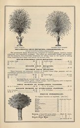 Image 961614175