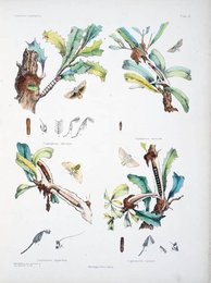 Image 961638954