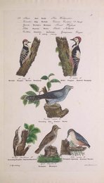 Image 961667212