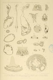 Image 961667955