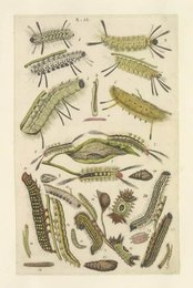 Image 961668847