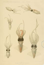 Image 961669136