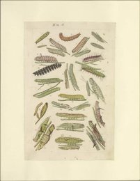 Image 961699307
