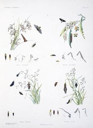 Image 961724420